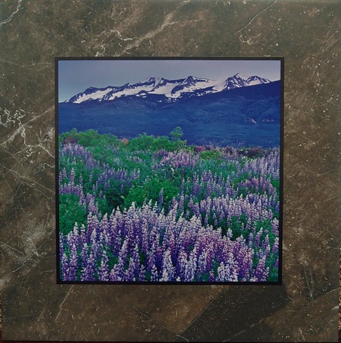 Click to view detail for Purple Reverie II  Stone Plaque 12x12 $90
